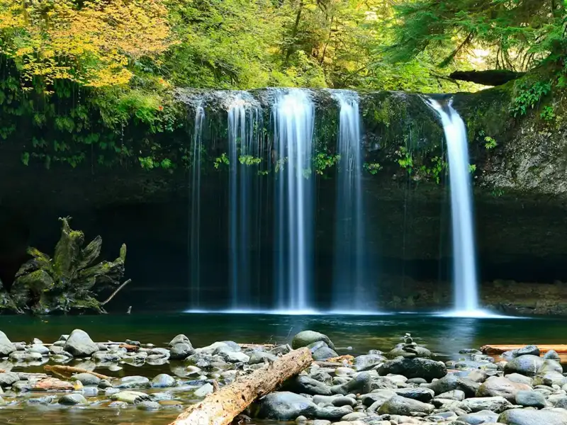 Waterfall in a forest